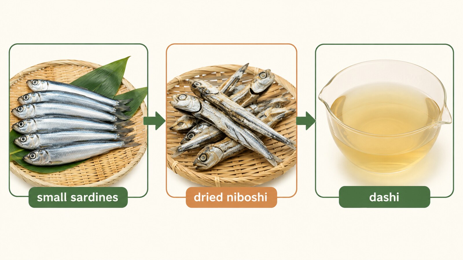 煮干しの原料・加工・種類の違いを示す英語教材図