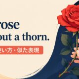 No rose without a thorn.の意味・使い方・似た表現