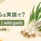 のびるとwild garlicのアイキャッチ