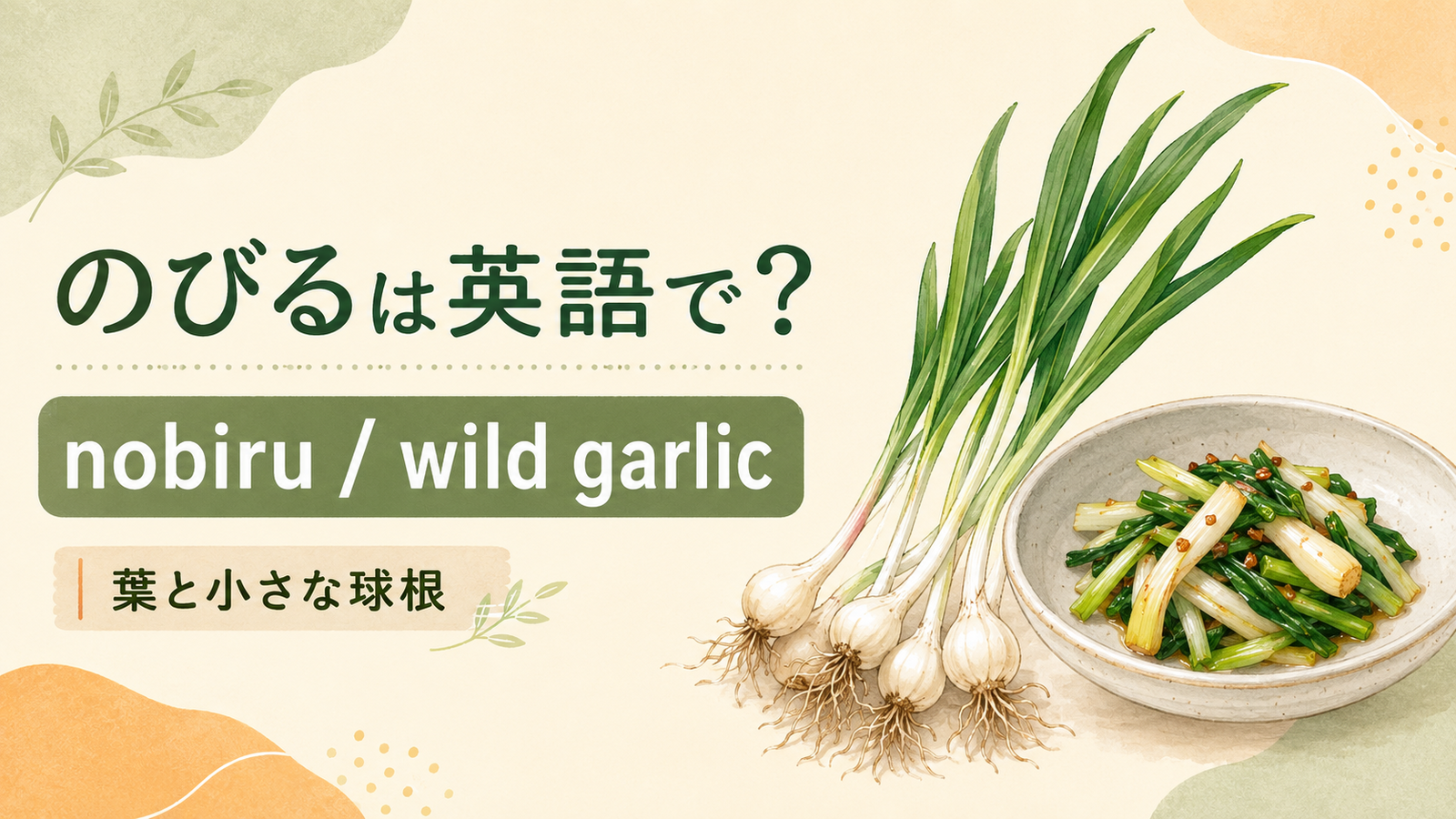 のびるは英語で何というかを解説するアイキャッチ