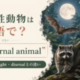 夜行性動物は英語でnocturnal animalと紹介するアイキャッチ画像