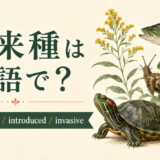 外来種は英語で?non-native species