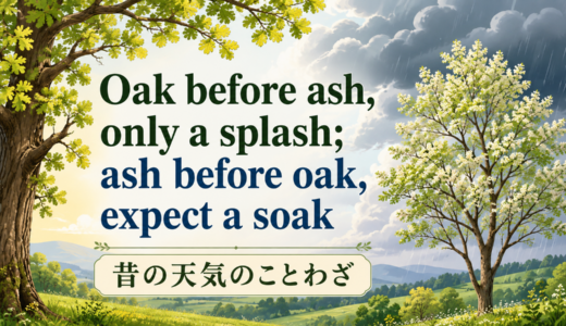 Oak before ash, only a splash; ash before oak, expect a soakの意味は？使い方・ニュアンス・例文を解説