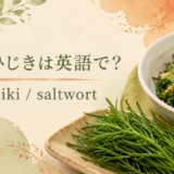 おかひじきとsaltwortのアイキャッチ