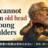 You cannot put an old head on young shouldersの意味と使い方