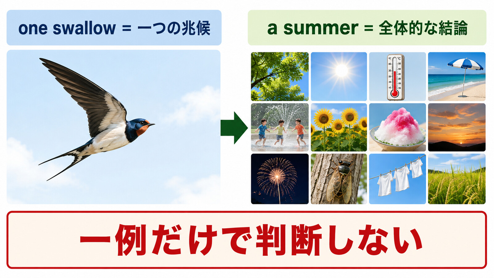One swallow does not a summer make.の直訳と実際のニュアンスを図解