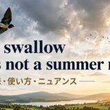 one swallow hero