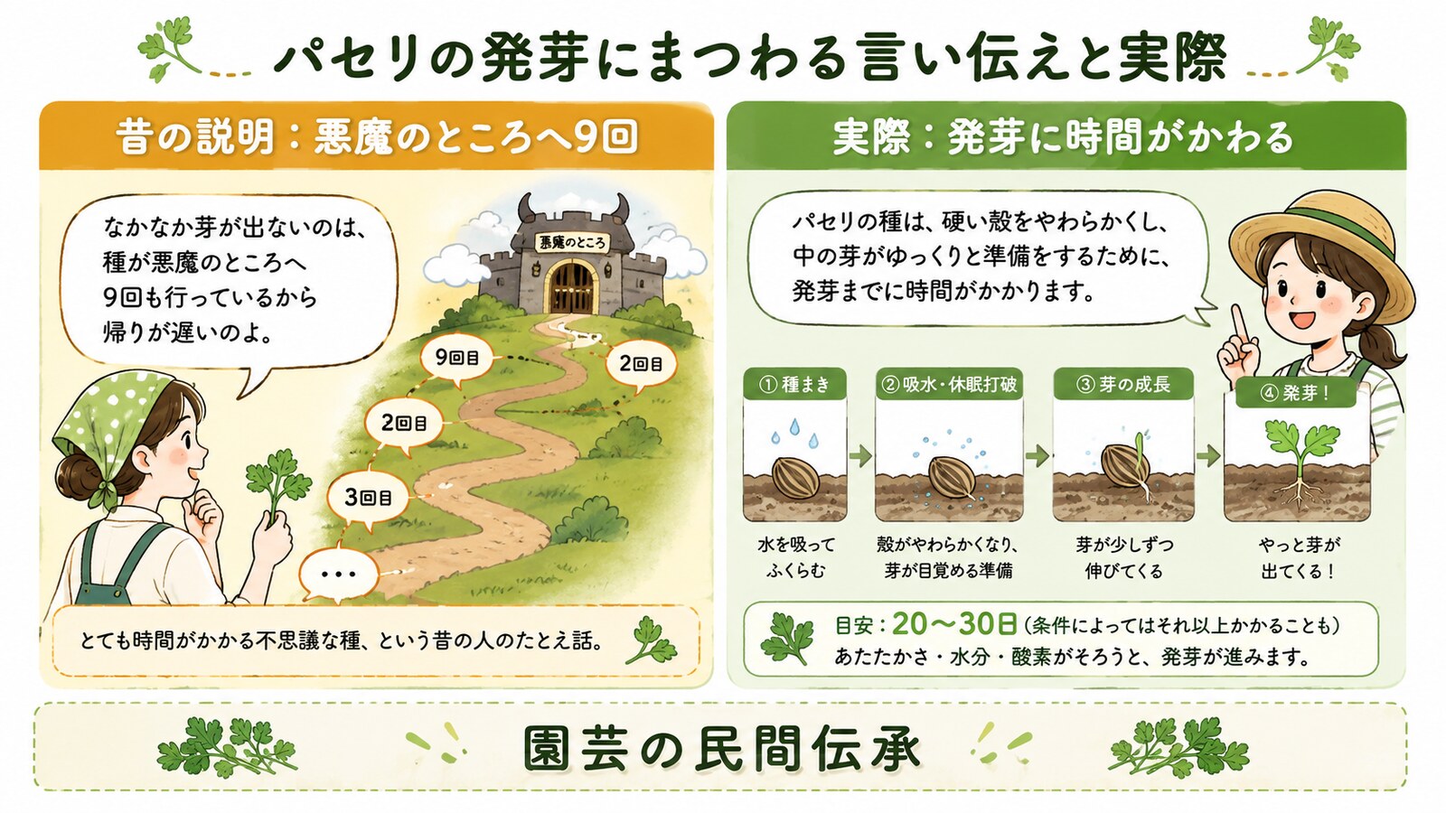Parsley seed goes nine times to the Devil before it growsのニュアンスと使い分けを示す解説図