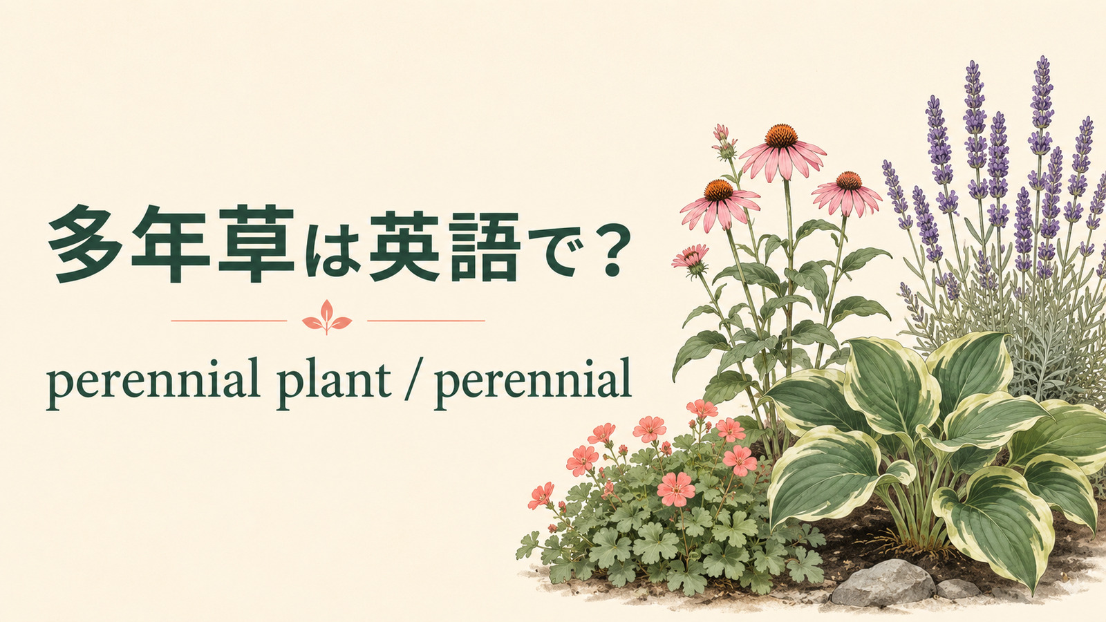 多年草を英語で|perennial plantの意味と使い方