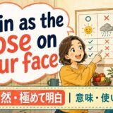 plain as the nose on your faceの意味・使い方・例文を紹介するアイキャッチ画像