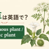 毒草を英語で|poisonous plant・toxic plantの違い