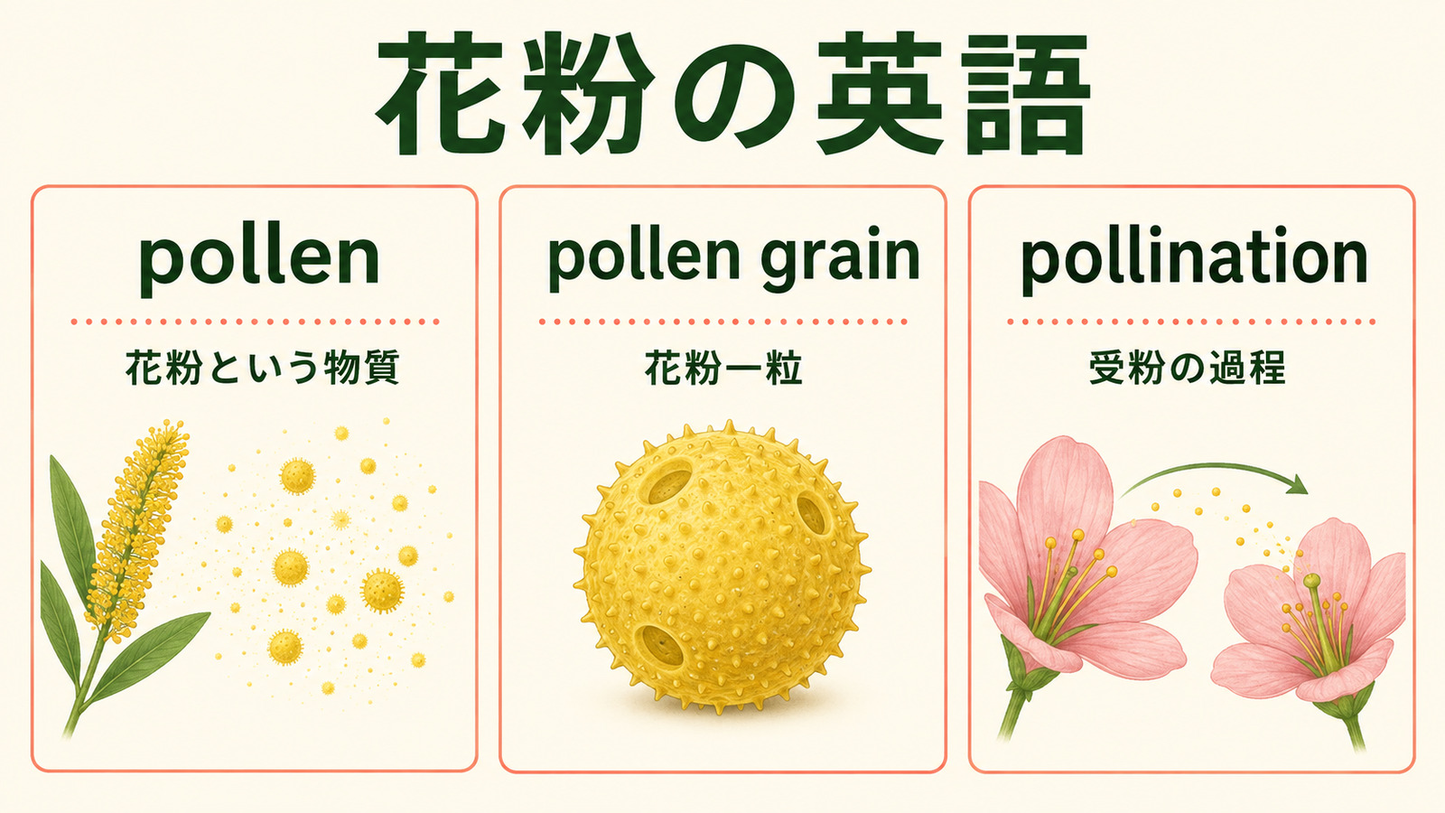 花粉は英語で?pollenの表現の違い