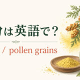 花粉は英語で?pollen
