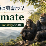 霊長類は英語で｜primateの意味・発音