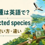 保護種は英語でprotected species。意味・使い方・違い