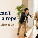 You can't push a ropeの意味・使い方