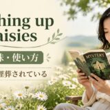 pushing up daisiesの意味と使い方を解説するアイキャッチ