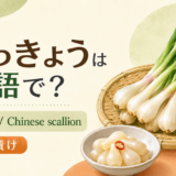らっきょうとChinese scallionのアイキャッチ