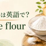 米粉の英語名と代表的な姿を紹介する画像