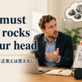You must have rocks in your headの意味・使い方