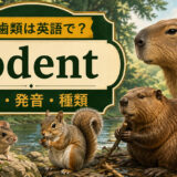 げっ歯類は英語で|rodentの意味・発音・種類