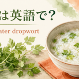 せりとwater dropwortのアイキャッチ