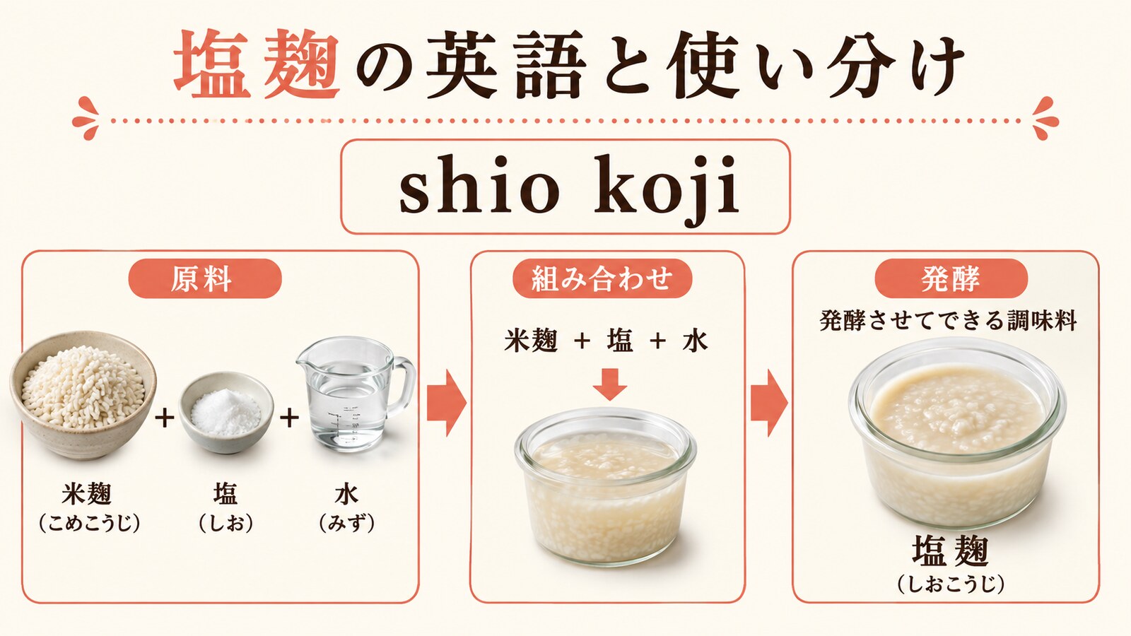塩麹の英語名と種類の違いを示す解説画像