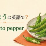 ししとう、shishito pepperの英語学習画像