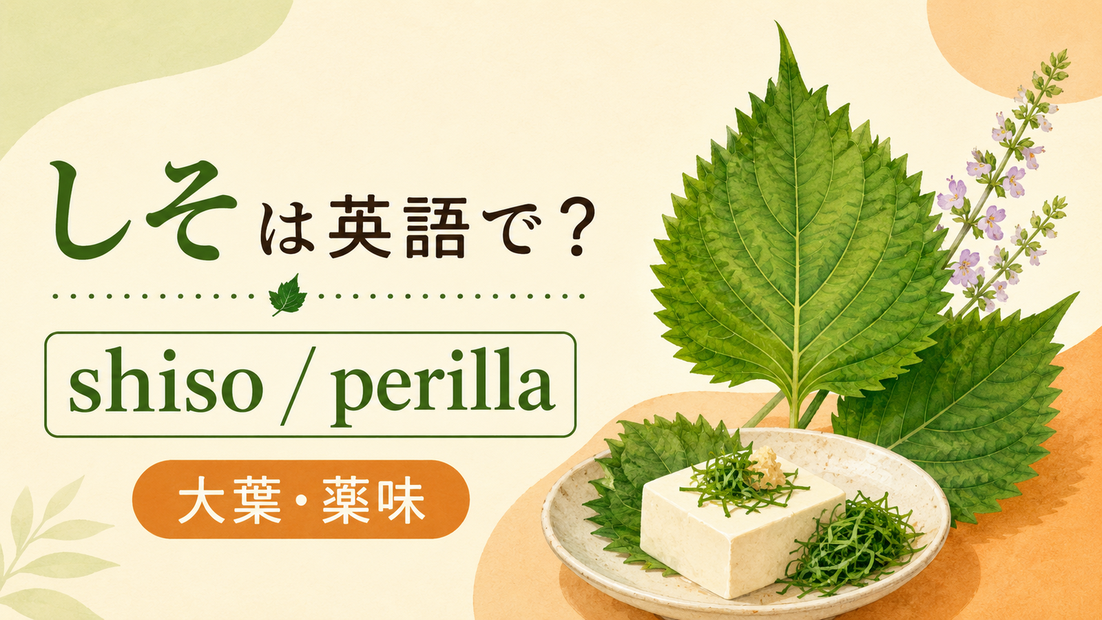 しそは英語で何というかを解説するアイキャッチ