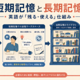 英語を聞いて短期的に保持し、意味ある処理を経て長期記憶へ残し、会話で取り出す流れ