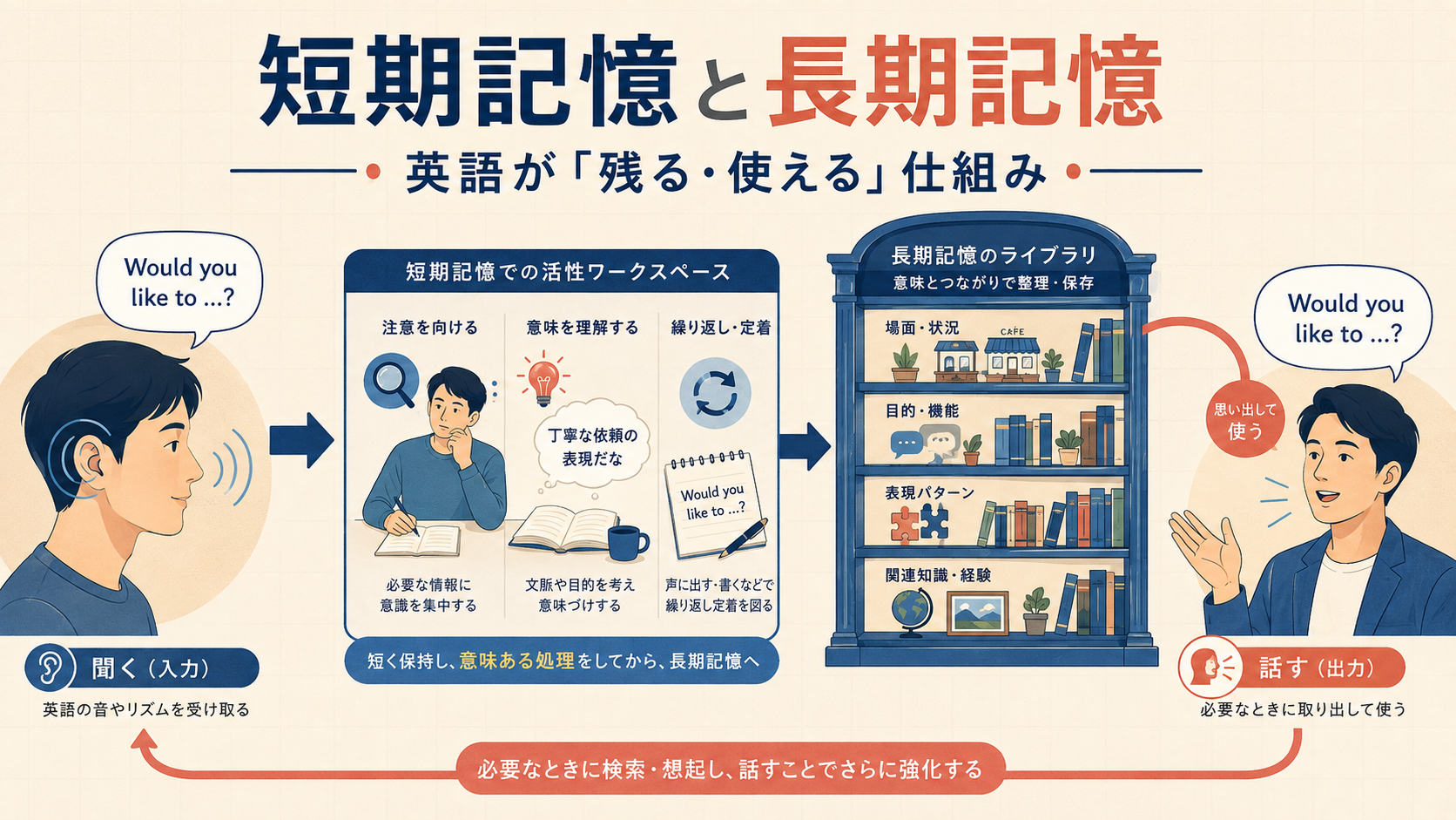 英語を聞いて短期的に保持し、意味ある処理を経て長期記憶へ残し、会話で取り出す流れ