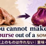 You cannot make a silk purse out of a sow's earの意味と使い方