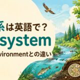 主食は英語でstaple food。意味とmain dishとの違い