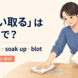 「吸い取る」を表すabsorb・soak up・blotの使い分け