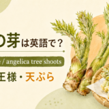 たらの芽とangelica tree shootsのアイキャッチ