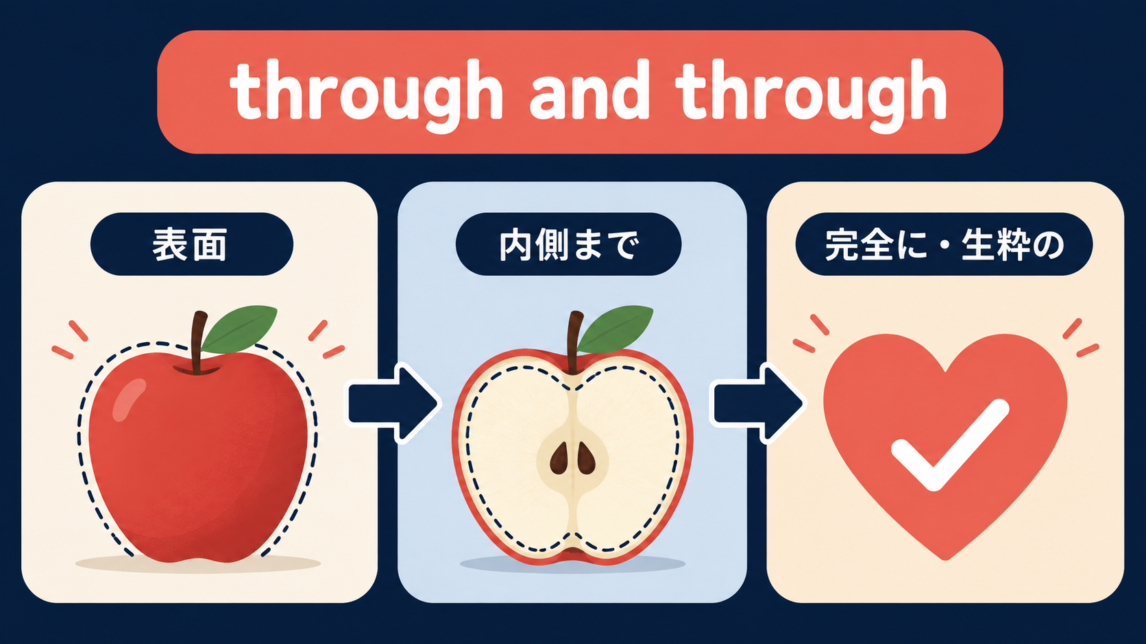 through and throughの意味・ニュアンスを示す図解