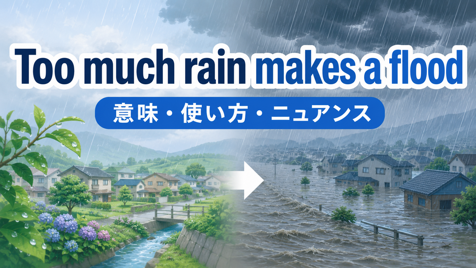 Too much rain makes a floodの意味と使い方