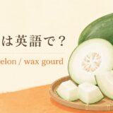 冬瓜、winter melon、wax gourdの英語学習画像