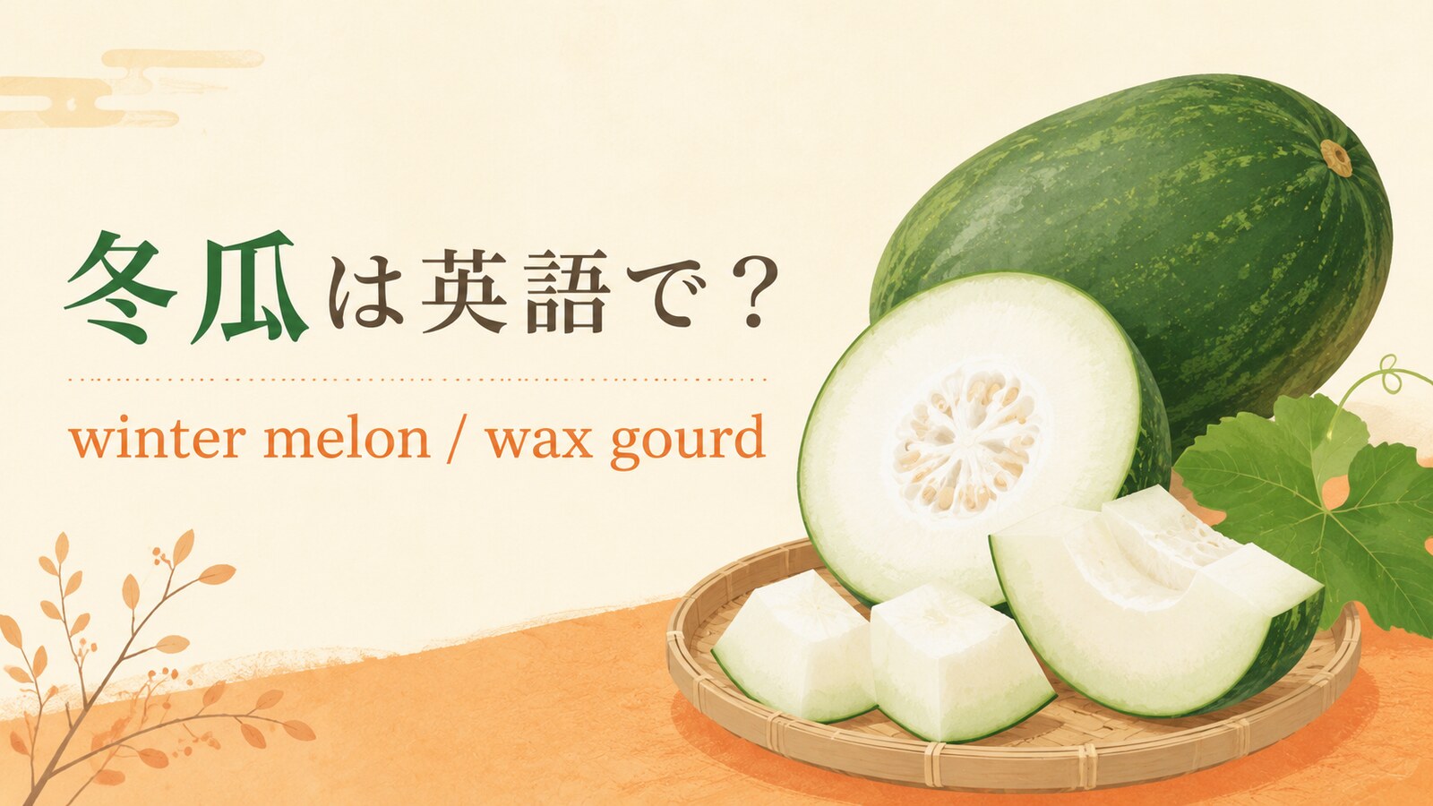 冬瓜は英語で？winter melon・wax gourdの違いと料理例文