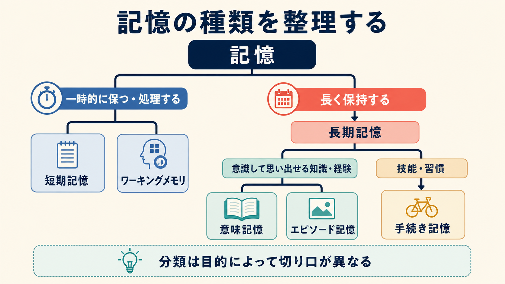 記憶を一時的な保持と処理、長期記憶、意味記憶・エピソード記憶・手続き記憶に整理した図