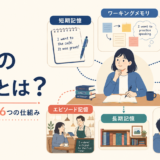 短期記憶・ワーキングメモリ・長期記憶・意味記憶・エピソード記憶・手続き記憶と英語学習の関係