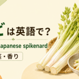 うどとJapanese spikenardのアイキャッチ