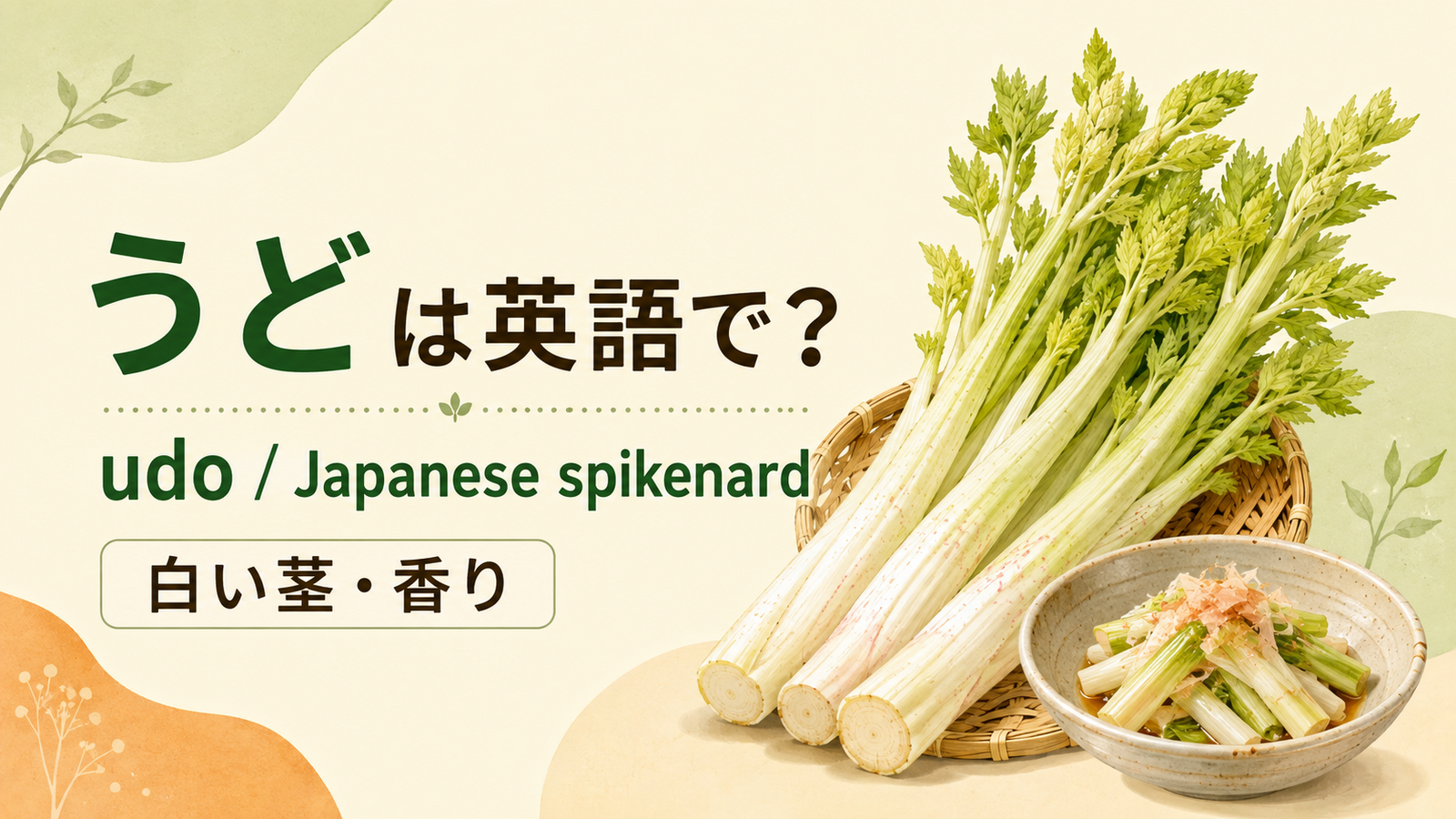 うどは英語で何というかを解説するアイキャッチ