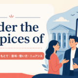アイキャッチ画像:under the auspices of