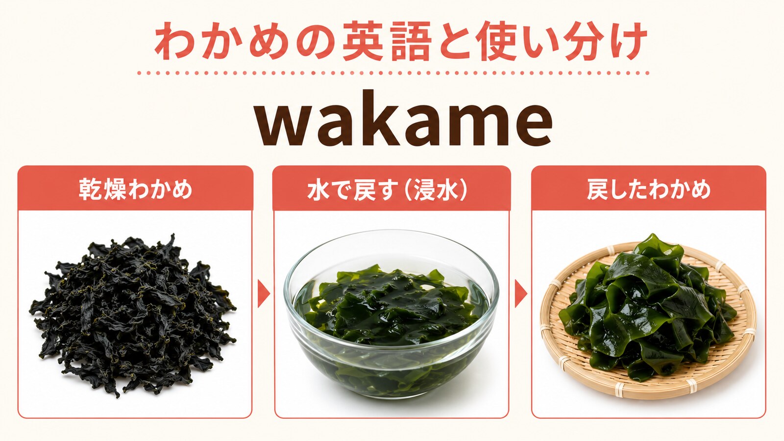 わかめの英語名と種類の使い分けを示す解説画像