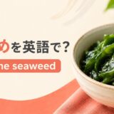 わかめを英語で解説するアイキャッチ画像
