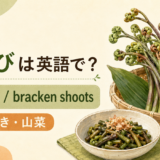 わらびとbracken shootsのアイキャッチ