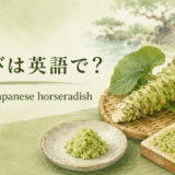 わさびを英語で解説するアイキャッチ画像