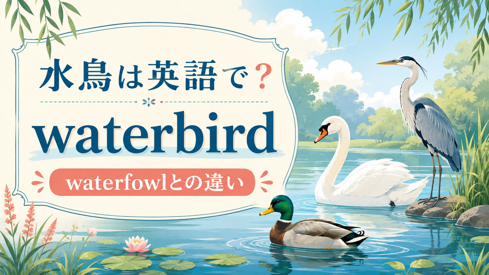 水鳥は英語で｜waterbirdとwaterfowlの違い
