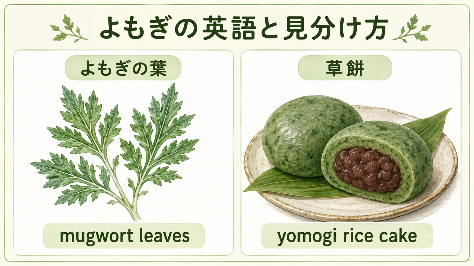 よもぎと似た植物や食材の英語名を比較した教材イラスト